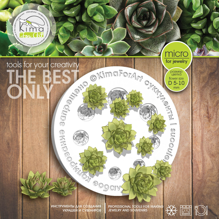 Суккуленты MICRO