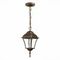 Уличный подвесной светильник ST Luce Domenico SL082.203.01