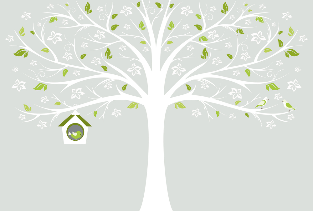 Коллекция BABY WORLD