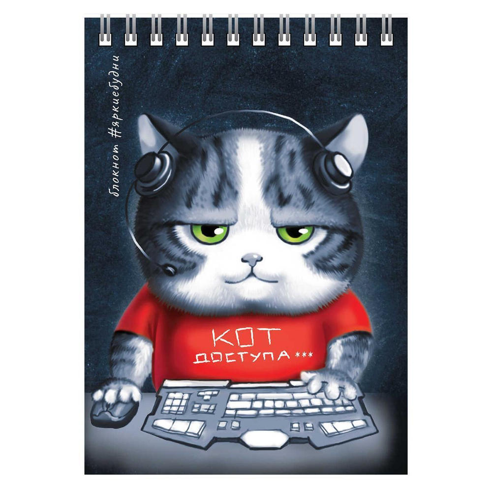 Блокнот А6 80л. клетка "Аниме кот" (Феникс+)