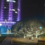 Гирлянда для улицы 11м 120 ламп LED чёрный провод, 8 реж, IP-54, Белый (возможность соединения)