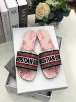 Christian Dior Dway Slide