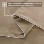 Комплект постельного белья Однотонный Сатин Премиум OCP010