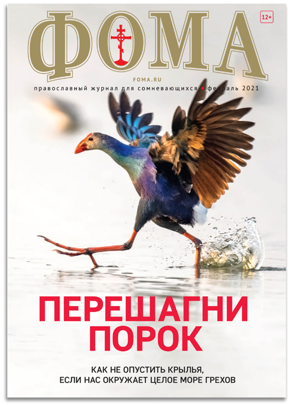 Журнал "Фома" № 2 (214) февраль 2021г