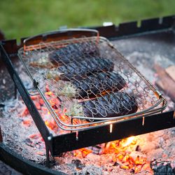 Шашлычный модуль