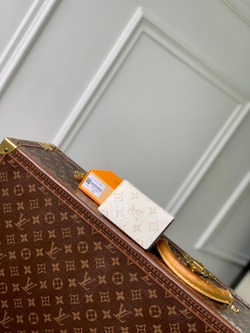 Louis Vuitton Pocket Organizer