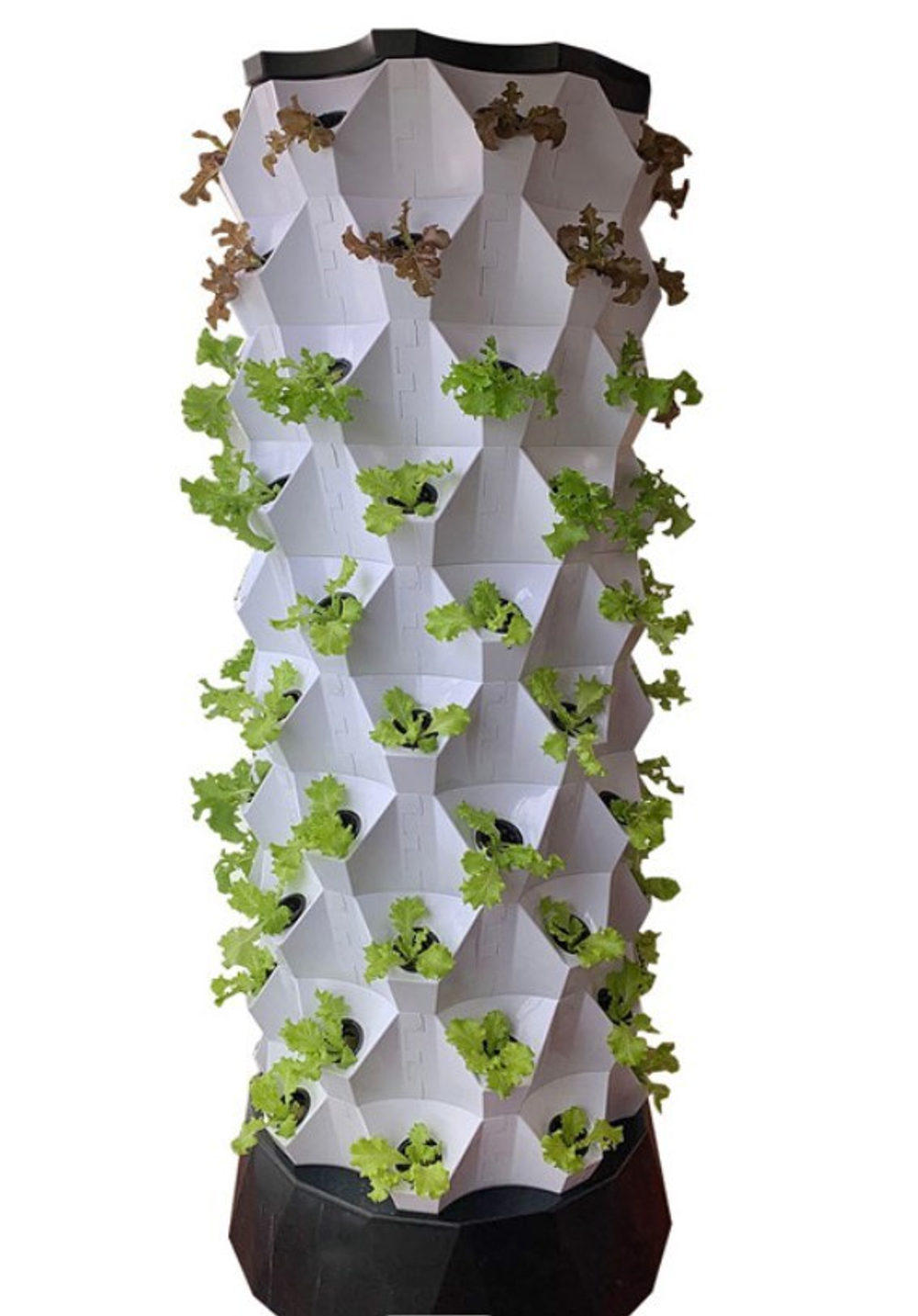 Вертикальная аэропонная гидропонная система для выращивания растений