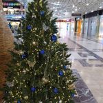 Искусственная ель «Монтерей» (Литая хвоя) 180 см / 1.8 м