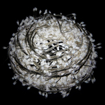 Гирлянда уличная Lotti minicluster 1000 microleds со стартовым шнуром