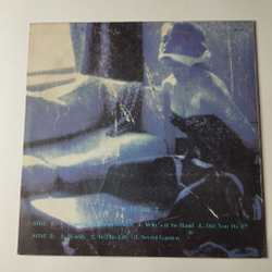 Винтажная виниловая пластинка LP Madonna Erotica, Volume 2 (Россия 1993) In This Life