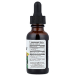 NaturesPlus, Herbal Actives, листья оливкового дерева, без спирта, 30 мл (1 жидк. унция)