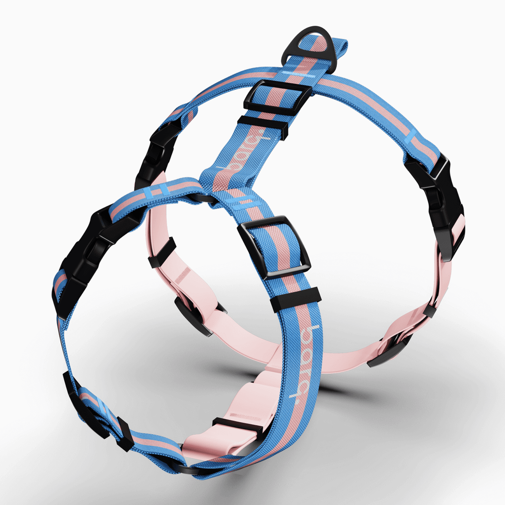 Шлейка Stripes