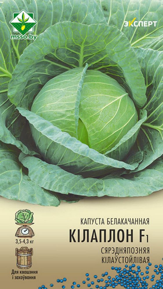Капуста б/к &quot;Киластор F1&quot; 12шт, Нидерланды.