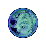 Форелевая приманка "Minoga" FURRY 2,8" (8шт) 70мм, 1,4гр, цвет 01