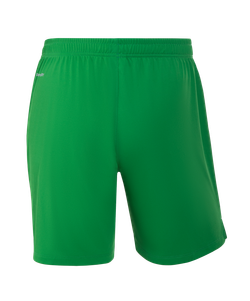 Шорты вратарские JOGEL NATIONAL PerFormDRY GK Shorts, зеленый