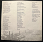 The Rainmakers- Tornado (Голландия 1987г.)