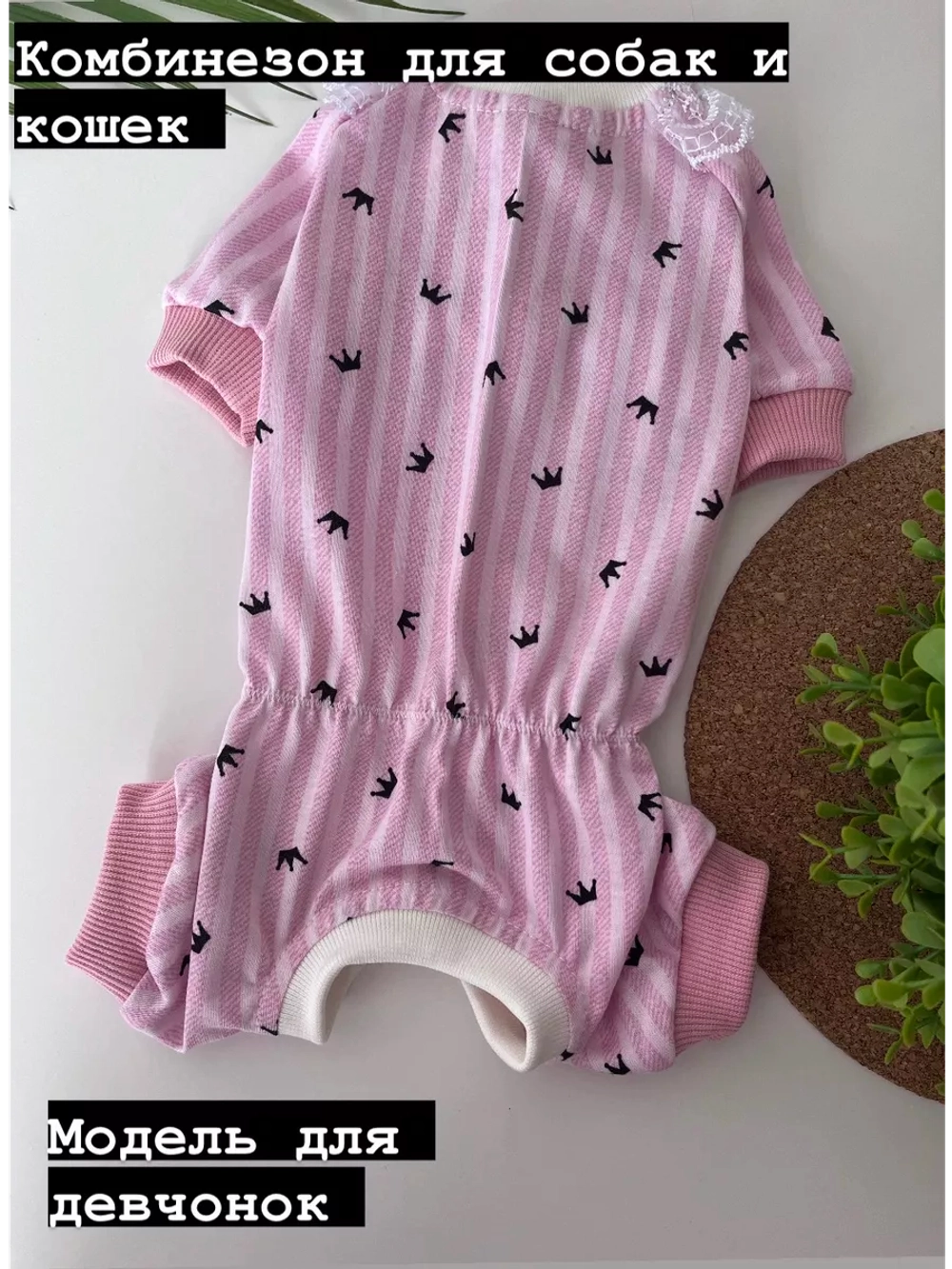 Трикотажный комбинезон для собак и кошек
