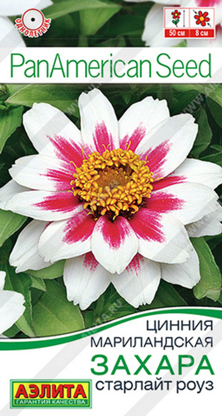 Цинния Захара старлайт роуз, 5шт (Аэлита)