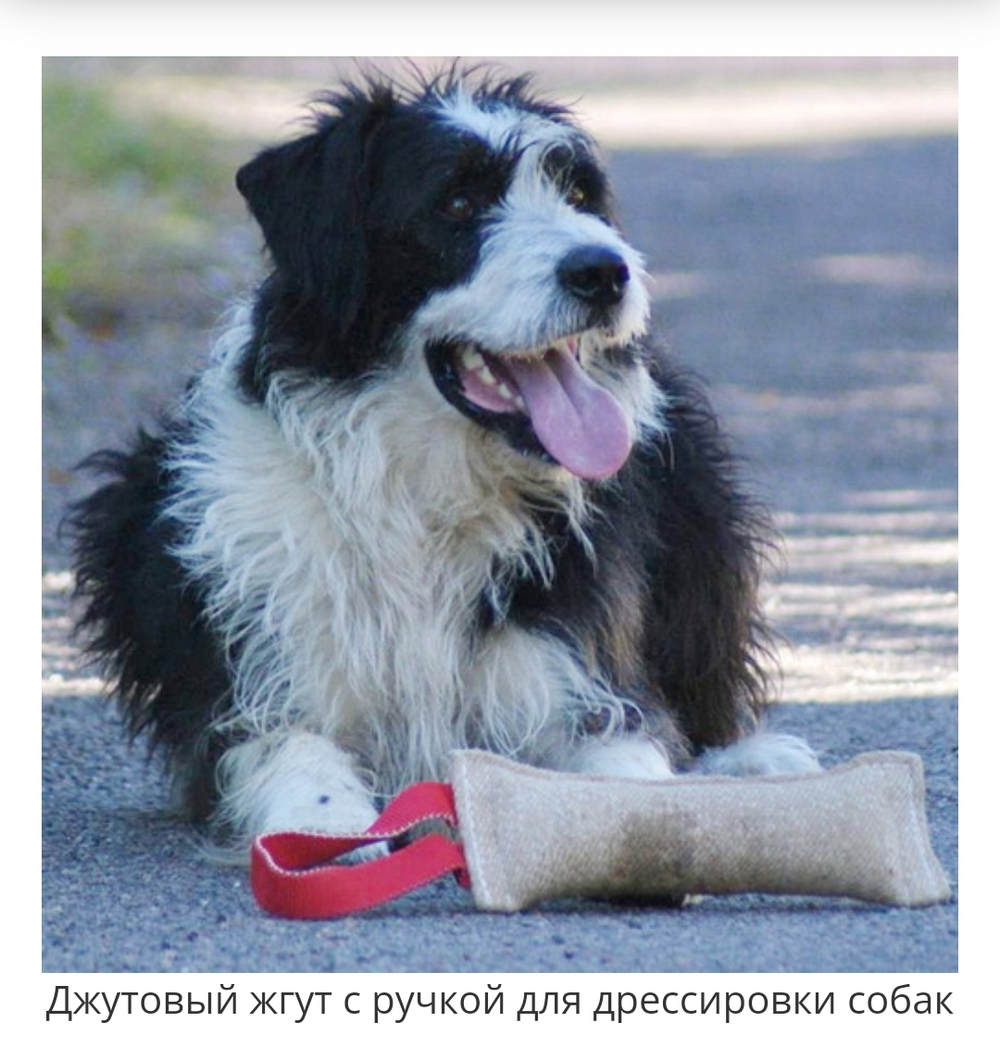 Джутовый жгут ForDogTrainers с одной ручкой