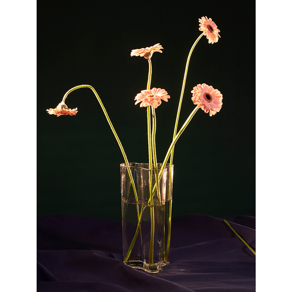 Ваза swell, 25,5 см, прозрачная