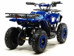 Электроквадроцикл Motoland ATV E009 1000W