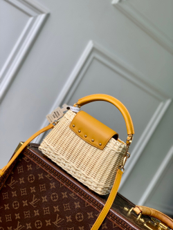 Louis Vuitton Capucines Mini