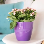 Кашпо для цветов пластиковое 4,5л d-20см «Грация» со вставкой белый