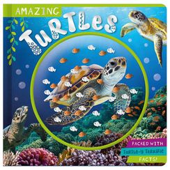 Amazing Turtles: Non-Fiction Board Book