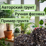Авторский грунт для Филодендрона, объём 2 литра грунта 2литра