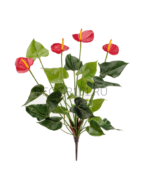 Антуриум куст де люкс красный в-45 см 4 цветка 6/24 20.1108R