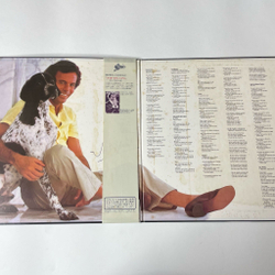 Винтажная виниловая пластинка LP Julio Iglesias Momentos (Japan 1982) (Obi)