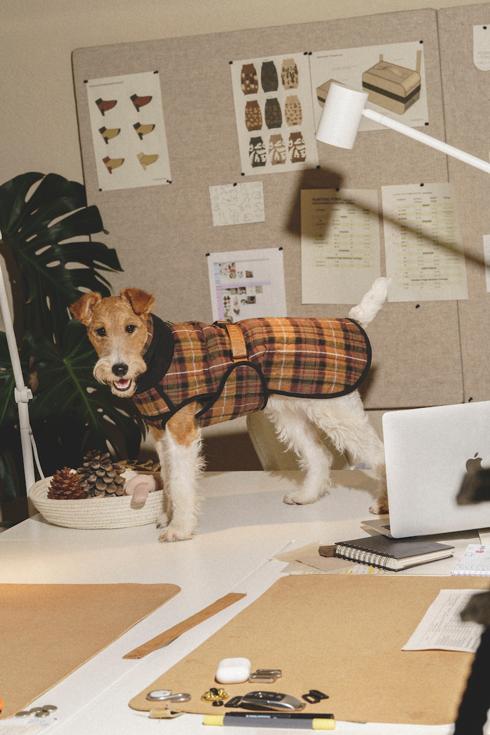 Попона "Пони-Шерлокони"