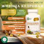 Живица кедровая на кедровом масле 240 капсул