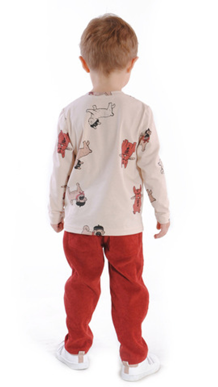 Брюки вельветовые для мальчика 2-8 лет Fleur de Vie