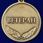 Медаль Ветеран "За Чеченскую кампанию"