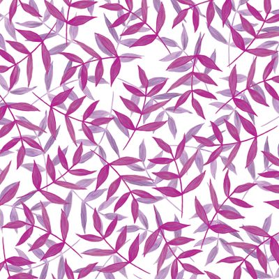 Листья фиолетовые двойные  на белом