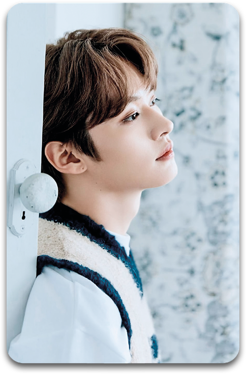 Карта / STRAY KIDS #3098