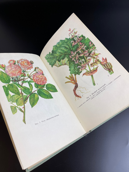 Книга "эфирномасличные и лекарственные растения" 1979 год СССР. Л.В. Полуденный, В.Ф. Сотник, Е.Е. Хлапцев