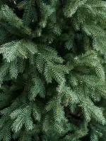 Ель искусственная голубая «Марселло» (Литая хвоя) 240 см / 2.4 м