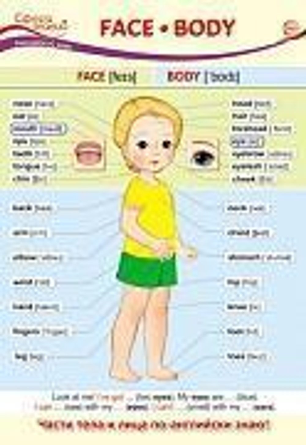 Плакат А3 Face. Body (Лицо. Тело)