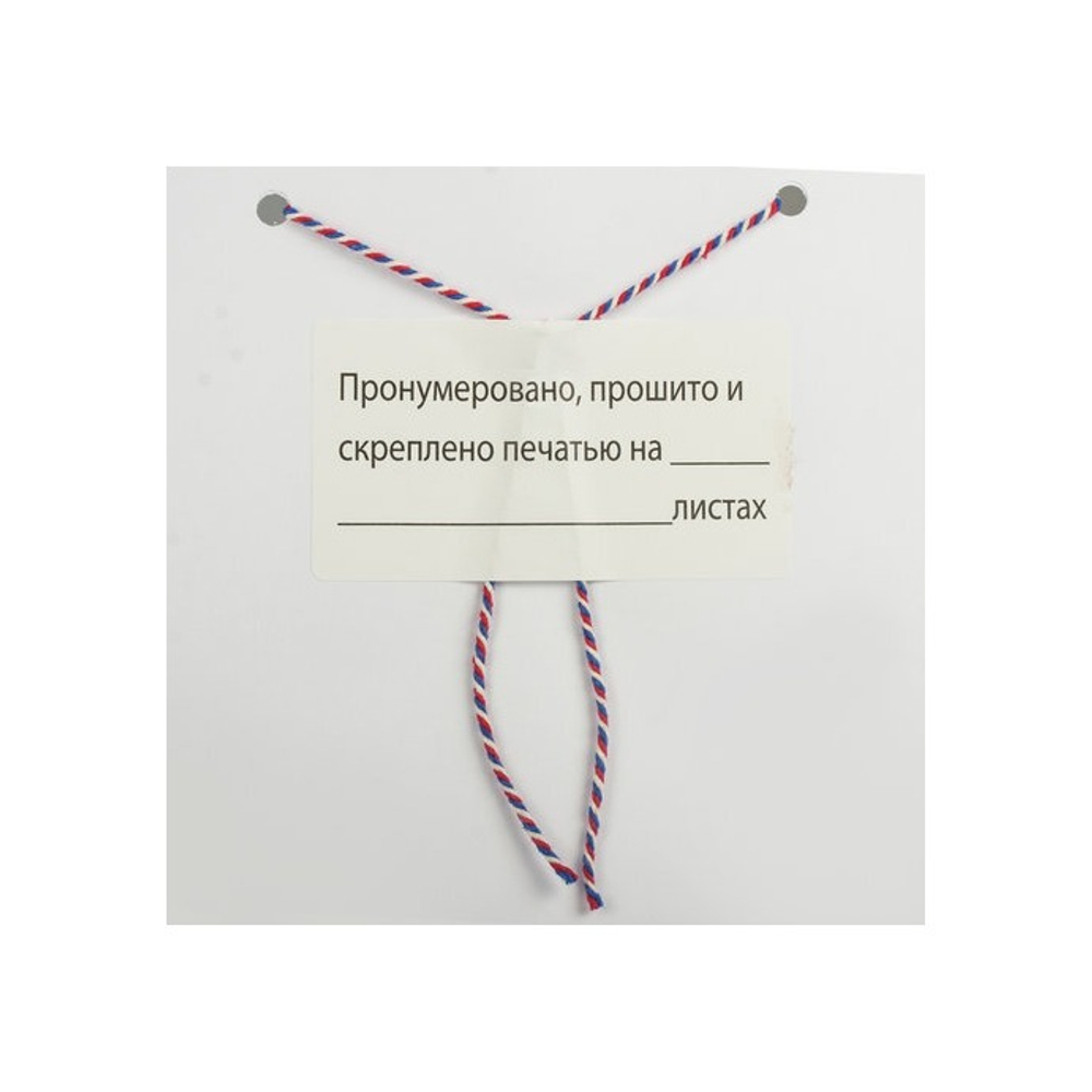 Этикетка самоклеящаяся "Пронумеровано, прошито и скреплено", 70х37 мм, 24 этикетки, 10 листов, 128833