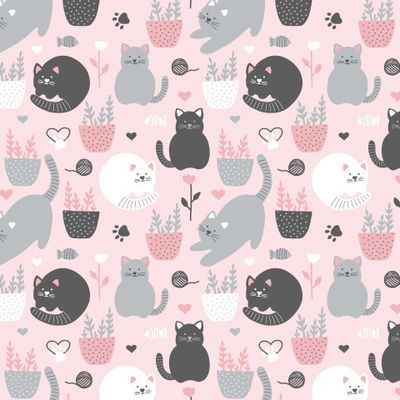 Котики
