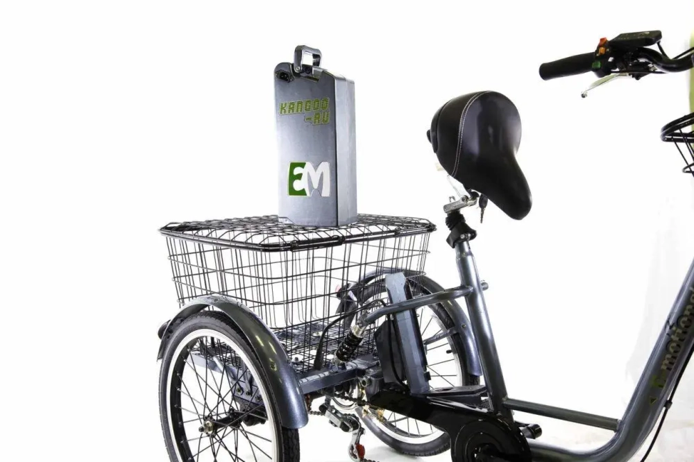 Трехколесный электровелосипед E-motions KANGOO-RU 500 с корзиной
