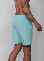 Теннисные шорты RS Performance Shorts Ace Blue/Clay (211M301313/441)