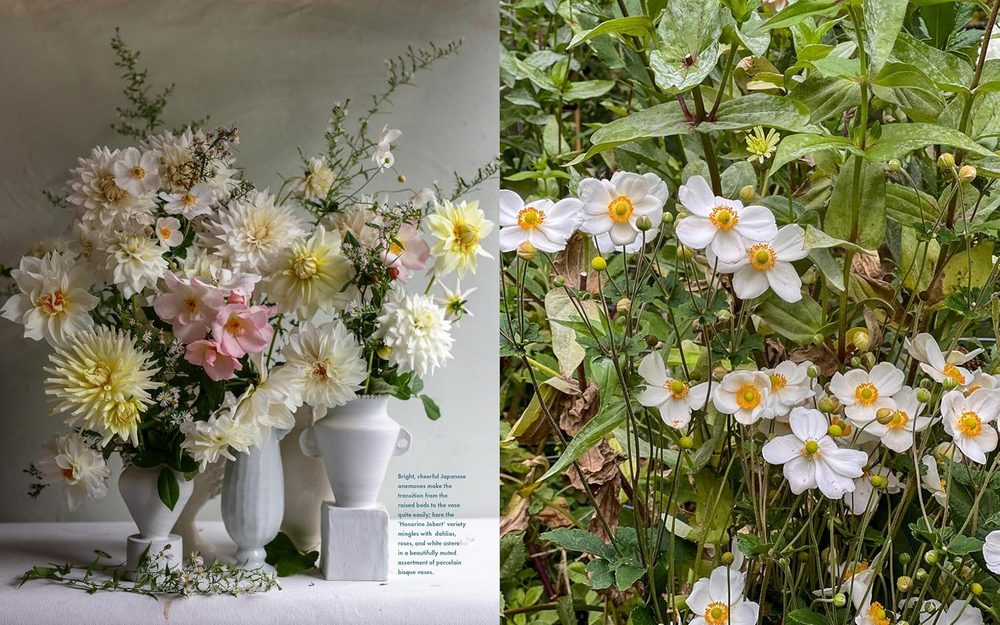 Life with Flowers: Inspiration and Lessons from the Garden