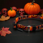 Ошейник Pawmpkin