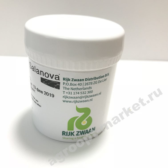 КУК семена салата (Rijk Zwaan | Alexagro) – фото 9