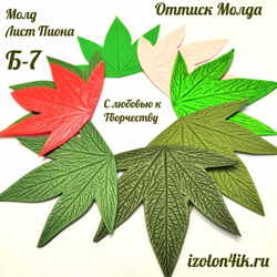 Молд Б-7