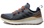 Кроссовки Adidas Terrex Folgian Hiker Gtx