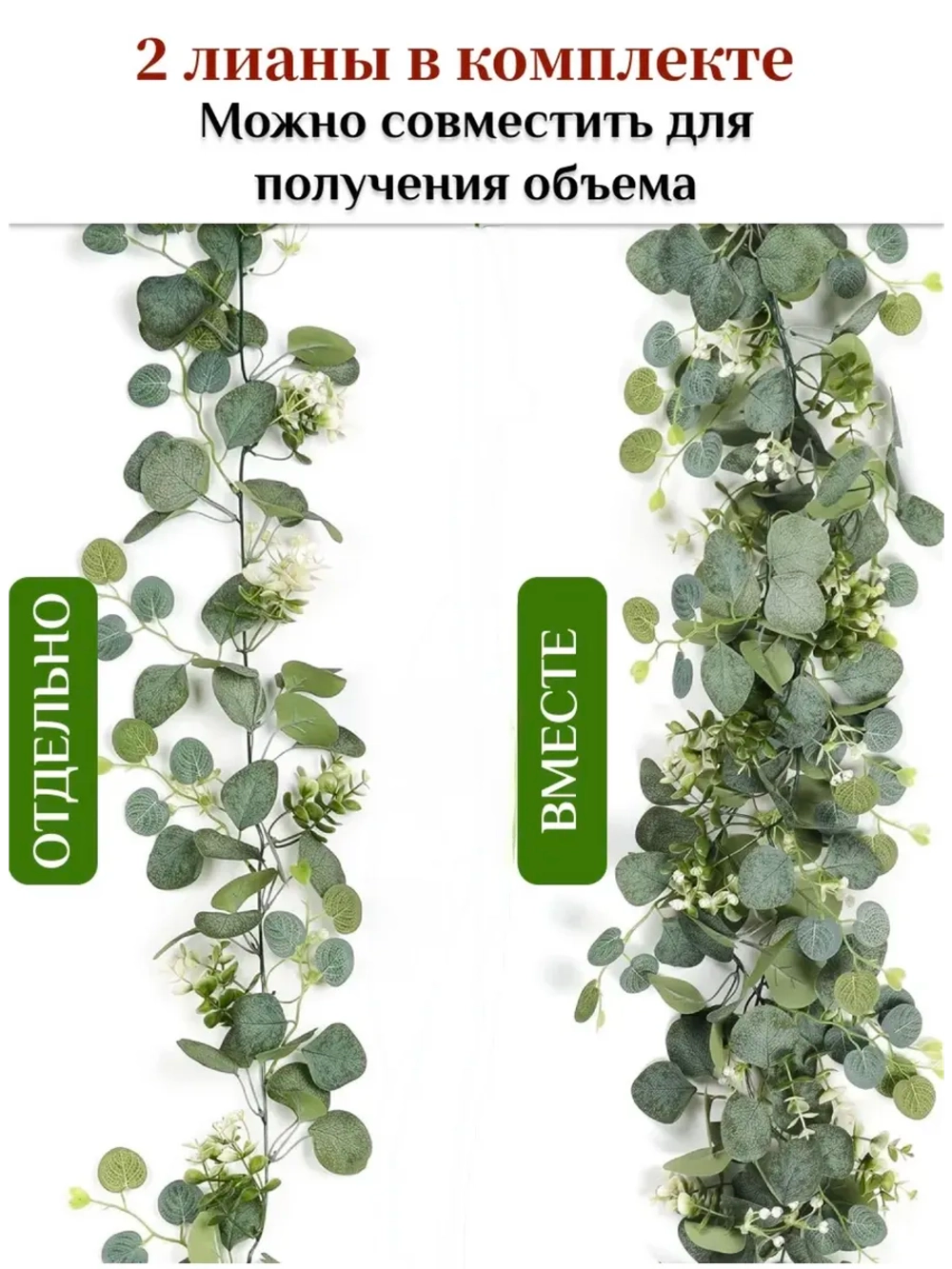 Лиана Эвкалипт папоротник